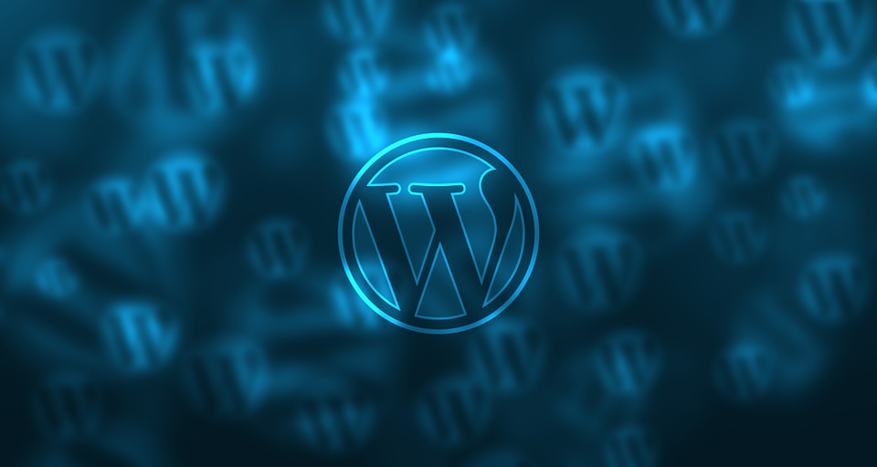 wordpress woocommerce plugin