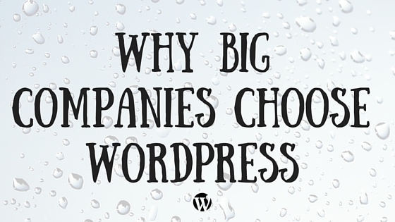 big media companies choose wordpress