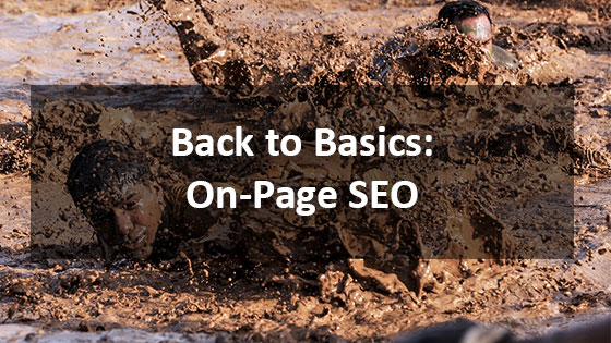 Back to Basics: On-Page SEO - Houston Web Design and SEO Company