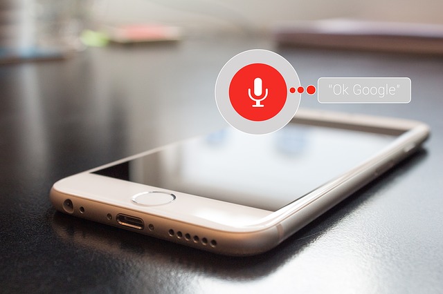 2018 marketing voice search